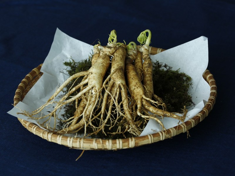 Le Ginseng et l&rsquo;hypertension
